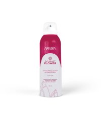 Arvea Déodorant Silver Antibactérien 200ml