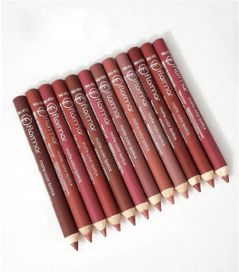 Crayons à lèvres Flormar Matte 12 couleurs