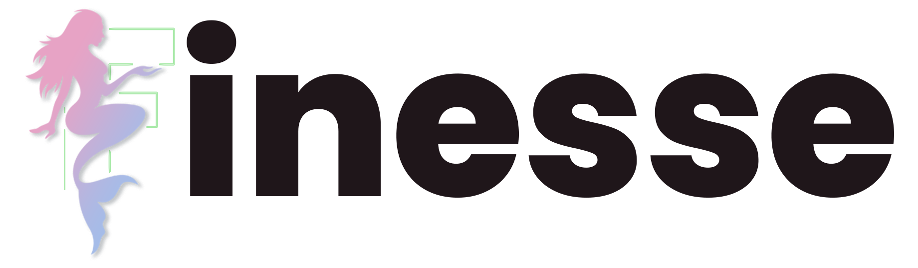 Logo Finesse Tunisie