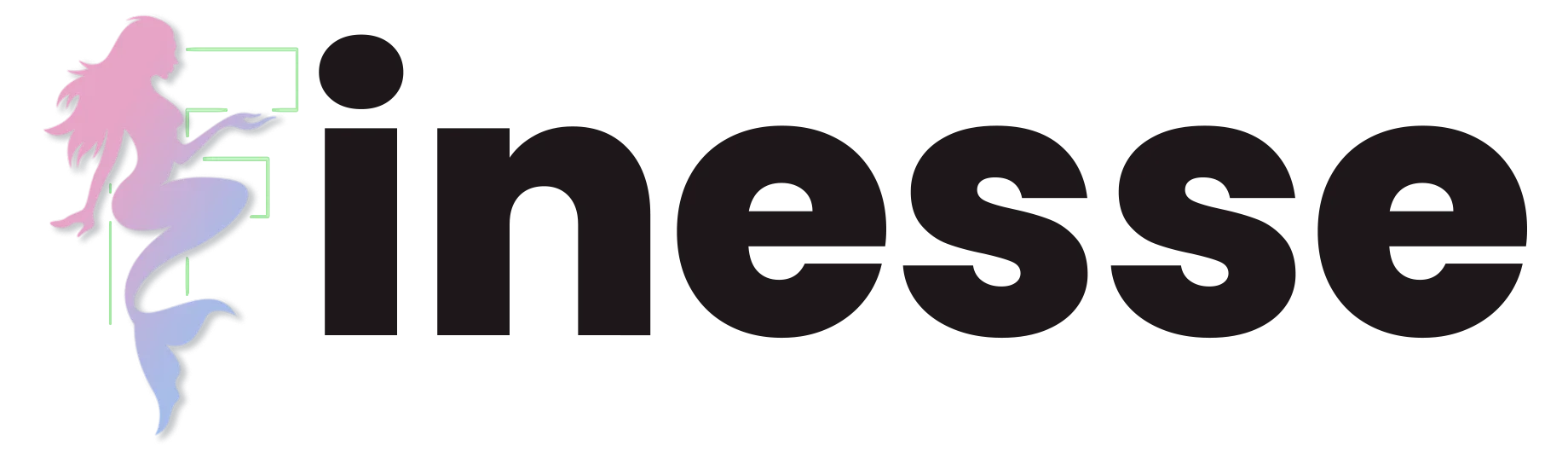 Logo Finesse Tunisie