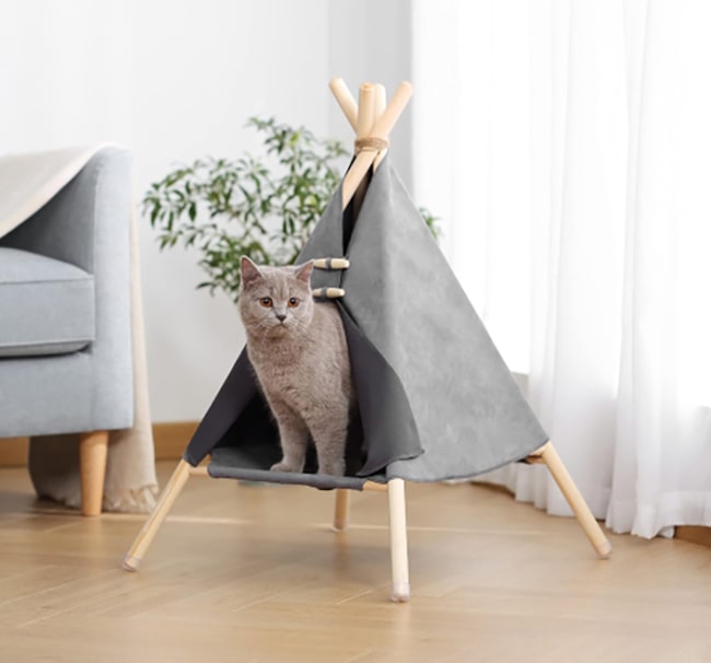 Home Marketplace2 hotspot-carusel-cat-tent-opt-opt