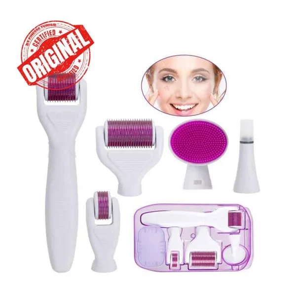 6 En 1 Derma Roller
