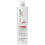 Inebrya Shampoing Ice cream Restructurant Kératine 300ml
