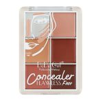 Dodo Girl Flawless Face Concealer