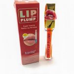 Gloss 3D Pulsé En Karité