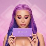 Palette de fards à paupières Norvina Anastasia Beverly Hills