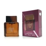 Parfum Pour Homme Smart Collection N°216 25ml