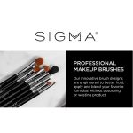 Sigma Pinceaux Professionnels