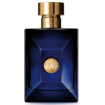 Versace Pour Homme Dylan Blue 100ml