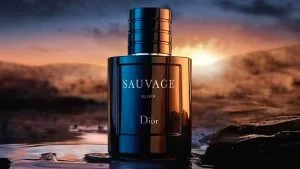 Finesse Tunisie Parfum Homme Top 10 : Le Guide Ultime 2025