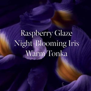 Tease Candy Noir Eau de Parfum Victoria's Secret 100ml